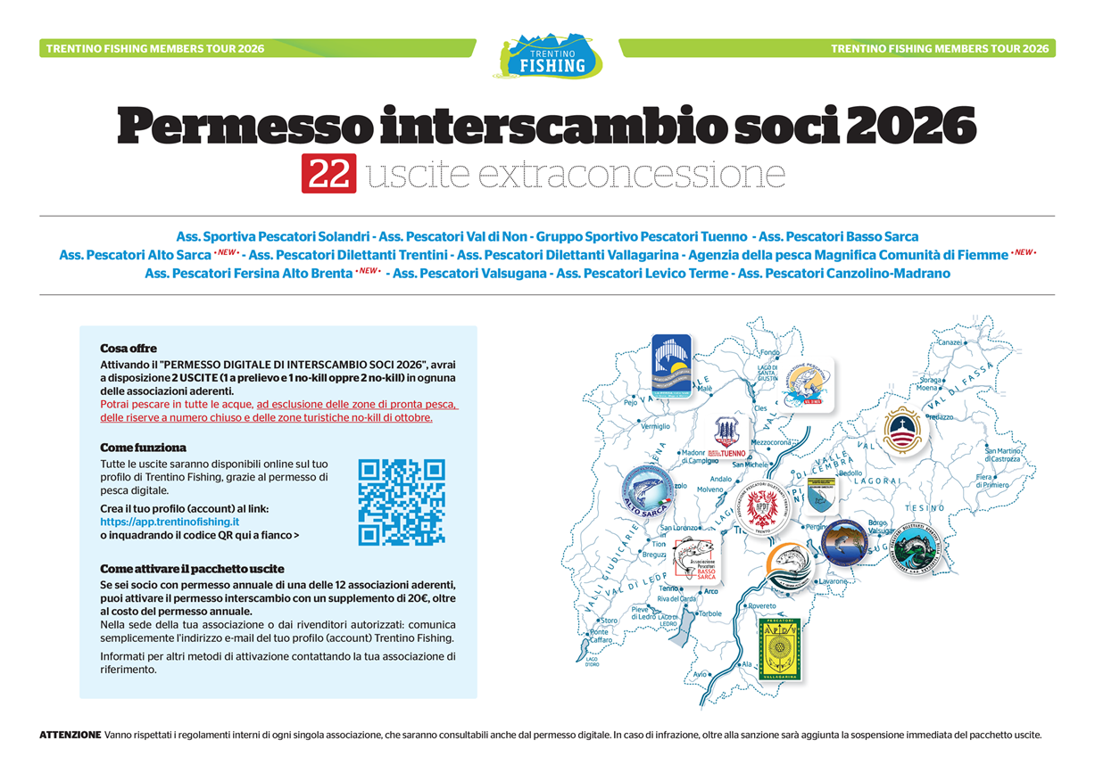 Interscambio digitale 26